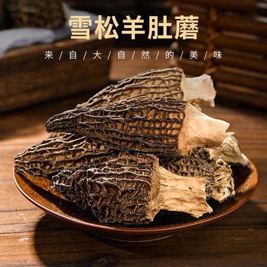 雪松羊肚蘑100g 商品图1