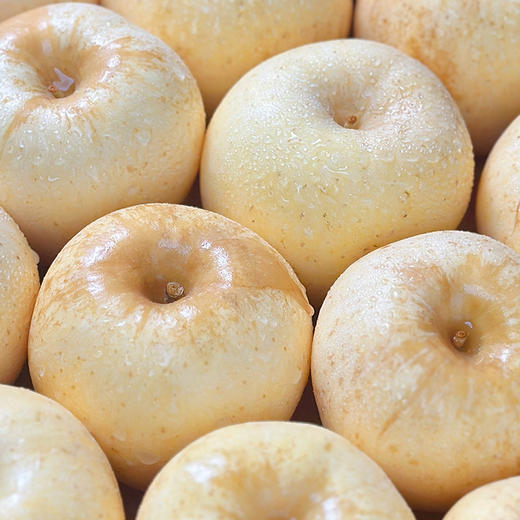 黄金维纳斯苹果-山东苹果【水果】HRM 商品图5