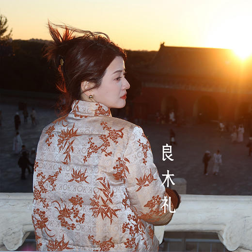 【特价不退不换】】【预售7天】良木礼真丝鹅绒服（D25102519） 商品图1