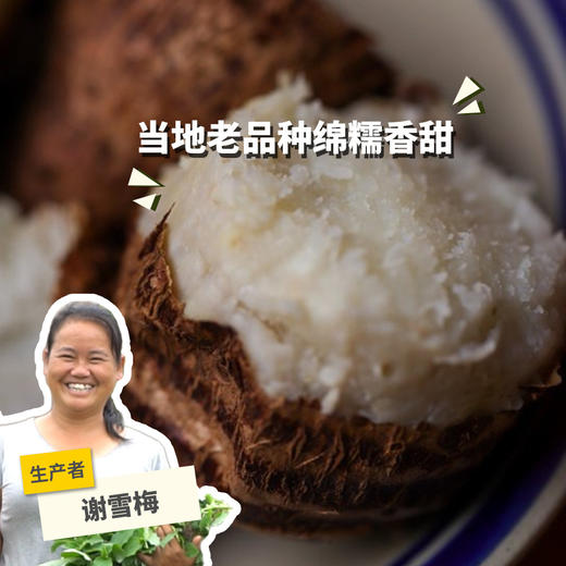 生态鸡蛋小芋头 （中通快递，限时活动：买4斤送2斤）| 合作生产 *Ecological taro |Partner Production 商品图0
