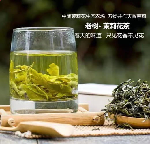 茉莉花茶 商品图6