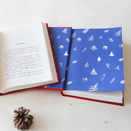 十二个圣诞故事 珍妮特·温特森 畅销小说 橘子不是唯一的水果 作者 商品图3