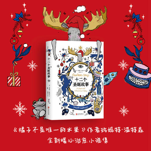 十二个圣诞故事 珍妮特·温特森 畅销小说 橘子不是唯一的水果 作者 商品图0