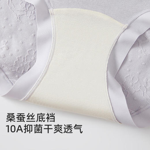 爆款补货已到仓【5条装，混色】皇家丽美女士内裤 浮雕提花棉 10A 抑菌 桑蚕丝底裆高腰微压收腹贴合底裤DKM1470 商品图4