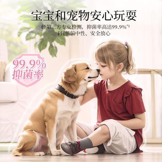 【秒杀】SukGarden蔬果园高浓缩香氛地板水500g（加州柑橘） 商品图3