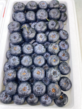 巨无霸产地蓝莓一箱