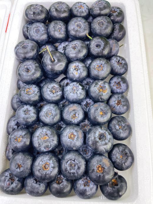 巨无霸产地蓝莓一箱 商品图0