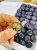 巨无霸产地蓝莓一箱 商品缩略图2