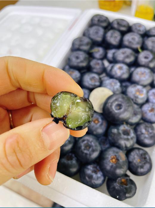 巨无霸产地蓝莓一箱 商品图2