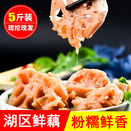 【严选】【只取中段 不粉包退 有机种植】湖区有机粉藕 节节饱满 现挖现发 带泥 煲汤易粉易烂5斤装（厂家直发） 商品图0