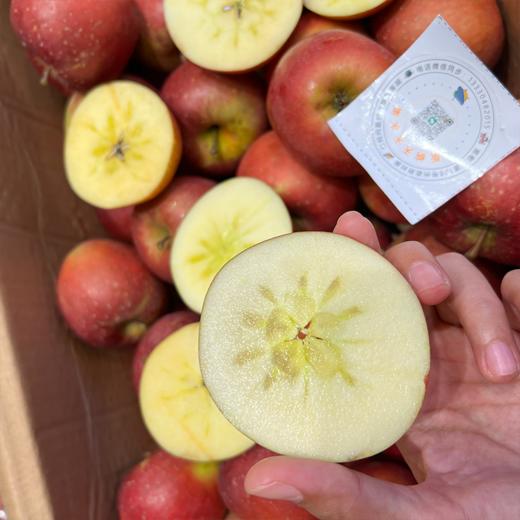 昭通糖心苹果 脆甜多汁 商品图4