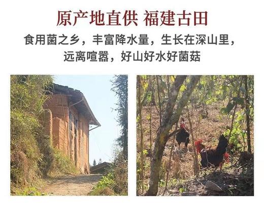 玉花帝竹荪35g 商品图2