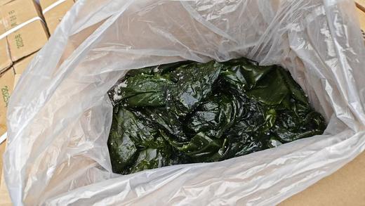 海带边3箱 商品图1