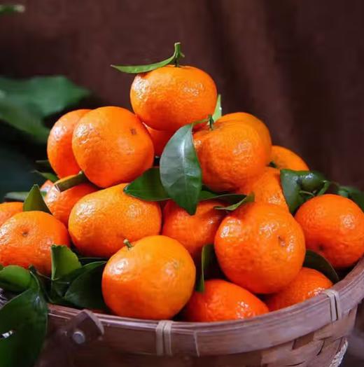 砂糖橘（570g~580g） 商品图0