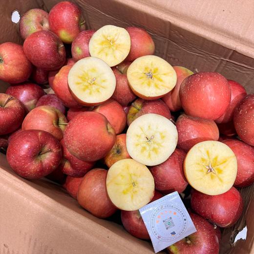 昭通糖心苹果 脆甜多汁 商品图6