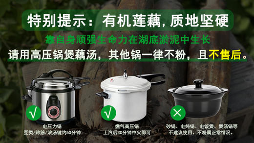 【严选】【只取中段 不粉包退 有机种植】湖区有机粉藕 节节饱满 现挖现发 带泥 煲汤易粉易烂5斤装（厂家直发） 商品图4