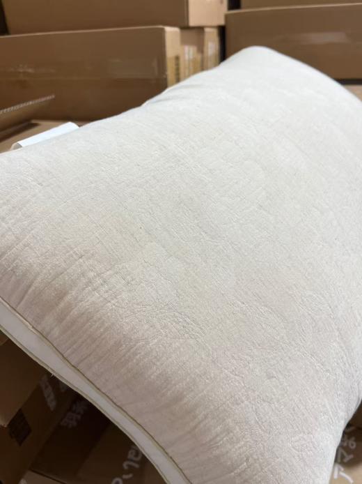 11.11最后促，不参与退货 出口原单 全棉A类枕芯纯棉单人枕头 商品图0