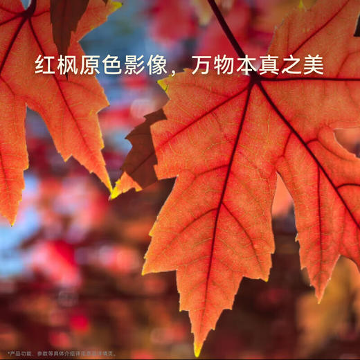 HUAWEI Mate 70 Air 新品旗舰手机  超薄长续航 7英寸华为临境大屏 商品图6