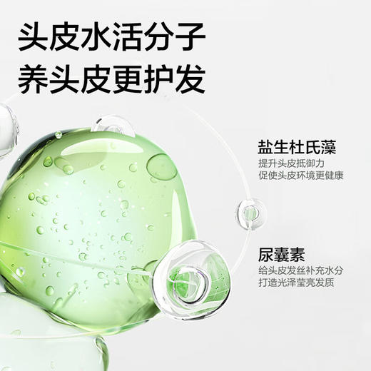 【秒杀】柏缇北非雪松控油蓬松洗发露680ml 商品图3