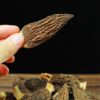 玉花帝羊肚菌60g 商品缩略图5