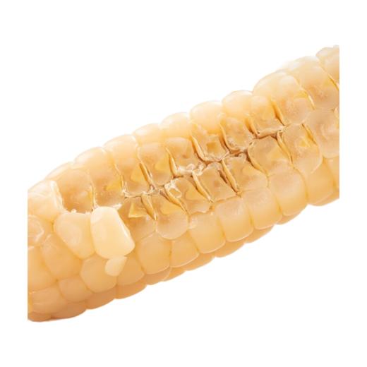 【顺丰产地直发】佳农拇指玉米10包*2根1kg箱 商品图3