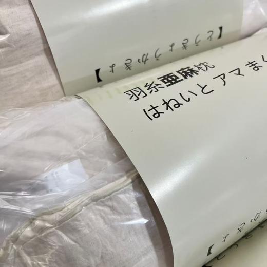 11.11最后促，不参与退货 出口原单 全棉A类枕芯纯棉单人枕头 商品图2