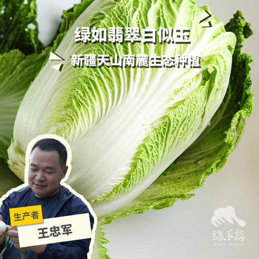 生态翠玉大白菜 | 合作生产* Ecological emerald Chinese cabbage  | Coproduction 商品图0