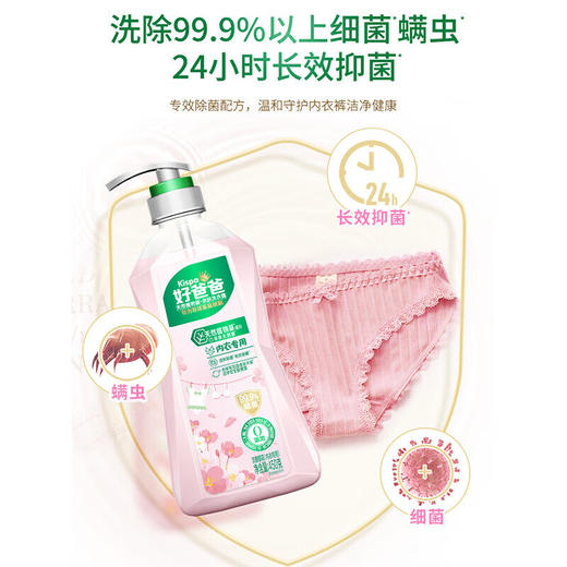 【分仓直发包邮】好爸爸天然植物基亲肤洗衣露450克（内衣专用淡雅樱花） 商品图1