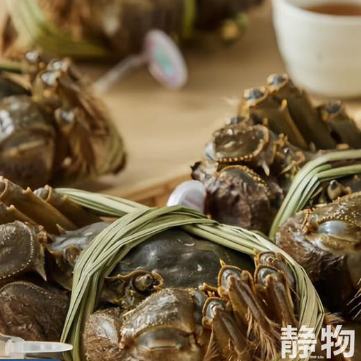 生态大闸蟹｜黄河口【Y】 商品图1