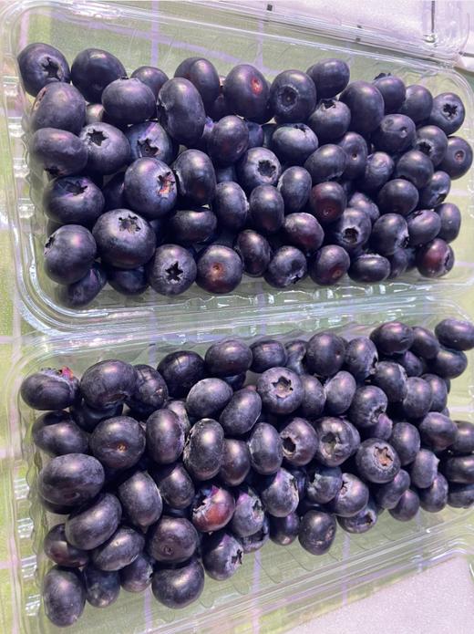 手抓蓝莓一盒 商品图0