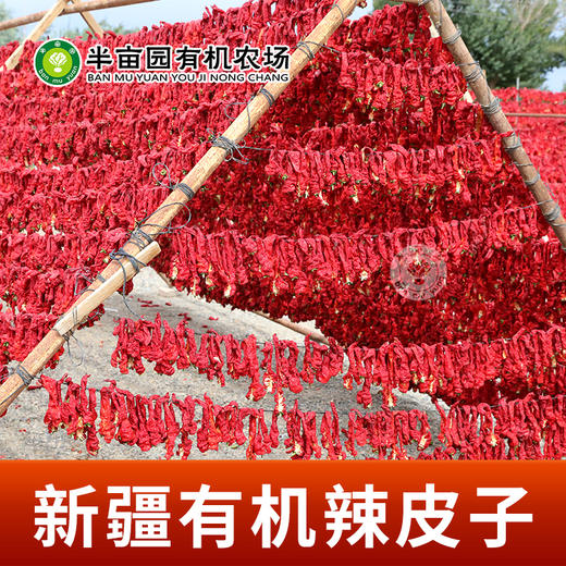 有机辣皮子200g*2袋 商品图1