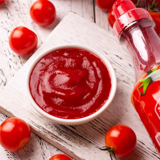 海天精选番茄沙司510g 商品图1