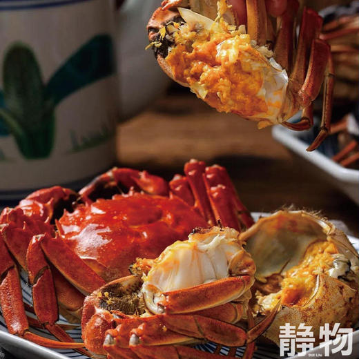生态大闸蟹｜黄河口【Y】 商品图2