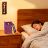 正安 灵芝酸枣仁晚安膏 13味配伍温润不燥 伴你一夜睡眠 酸枣仁膏100g（10g×10袋）/盒 商品缩略图4
