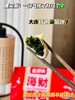 海菜包子（大连夏季达沃斯大会专供） 商品缩略图4