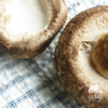 有机段木香菇（预售 ）| 合作生产*Organic Fresh Shiitake (Log-Cultivated) | Partner Pr 商品缩略图4