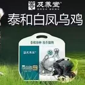 及养堂泰和白凤乌鸡   700g/ 袋（冷冻）