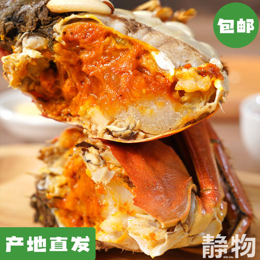 生态大闸蟹｜黄河口【Y】 商品图0