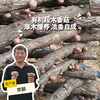 有机段木香菇（预售 ）| 合作生产*Organic Fresh Shiitake (Log-Cultivated) | Partner Pr 商品缩略图0