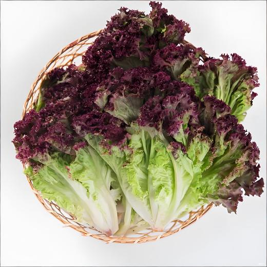 有机罗莎红（生菜） 商品图2