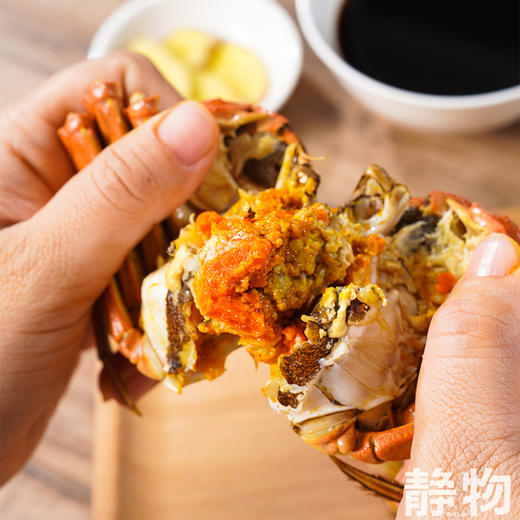 生态大闸蟹｜黄河口【Y】 商品图5