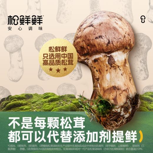 【分仓直发包邮】松鲜鲜松茸一品鲜310g*2 商品图4