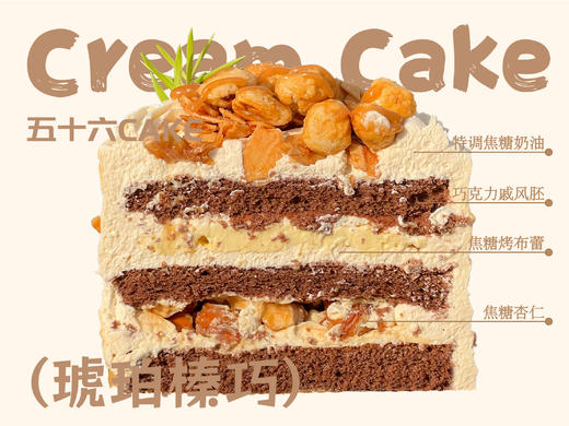 琥珀榛巧（3寸） 商品图1