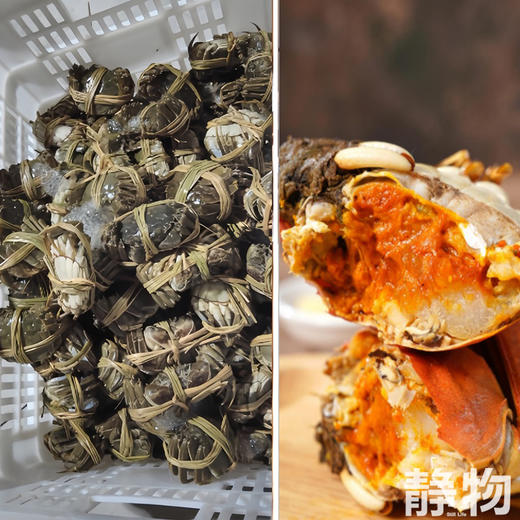 生态大闸蟹｜黄河口【Y】 商品图3