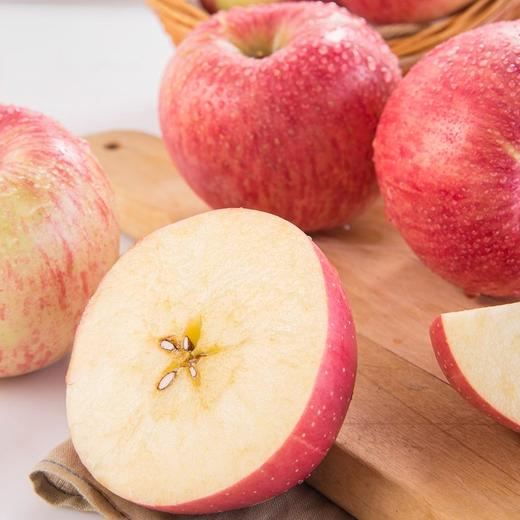 陕西洛川早熟红富士苹果24枚彩箱装(4.3kg以上) 商品图0