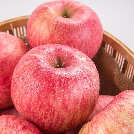 陕西洛川早熟红富士苹果24枚彩箱装(4.3kg以上) 商品图1