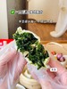 海菜包子（大连夏季达沃斯大会专供） 商品缩略图8