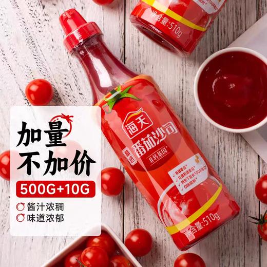 海天精选番茄沙司510g 商品图0