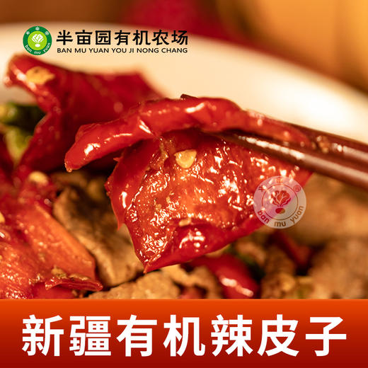 有机辣皮子200g*2袋 商品图4