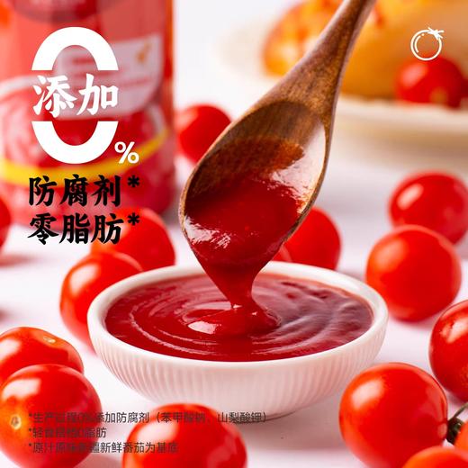 海天精选番茄沙司510g 商品图2